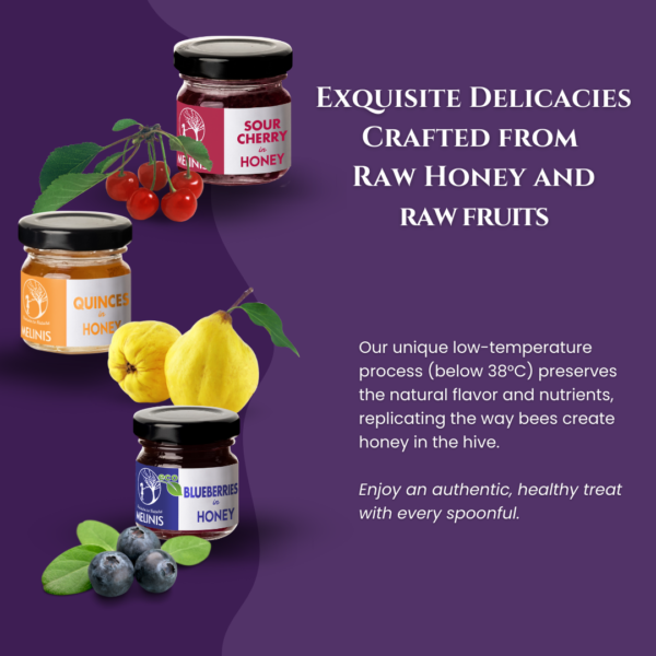 Crunchy and Irresistible - Set 3 x 40 g - Acacia Honey with Blueberries, Quinces and Sour Cherries