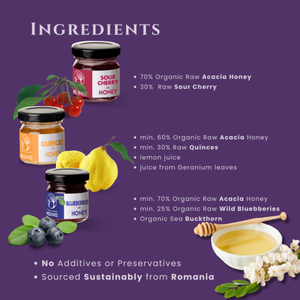 Crunchy and Irresistible - Set 3 x 40 g - Acacia Honey with Blueberries, Quinces and Sour Cherries