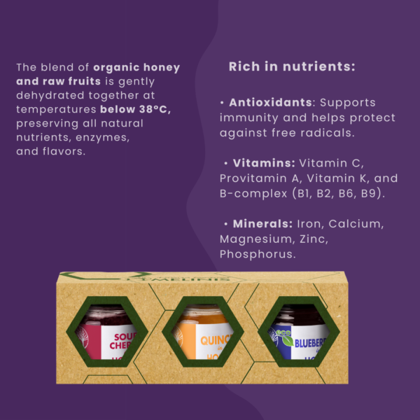 Crunchy and Irresistible - Set 3 x 40 g - Acacia Honey with Blueberries, Quinces and Sour Cherries