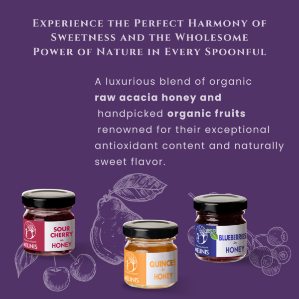 Crunchy and Irresistible - Set 3 x 40 g - Acacia Honey with Blueberries, Quinces and Sour Cherries