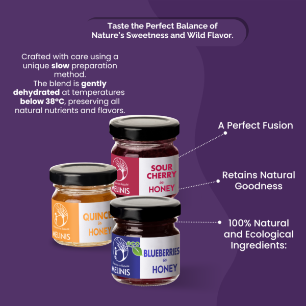 Crunchy and Irresistible - Set 3 x 40 g - Acacia Honey with Blueberries, Quinces and Sour Cherries