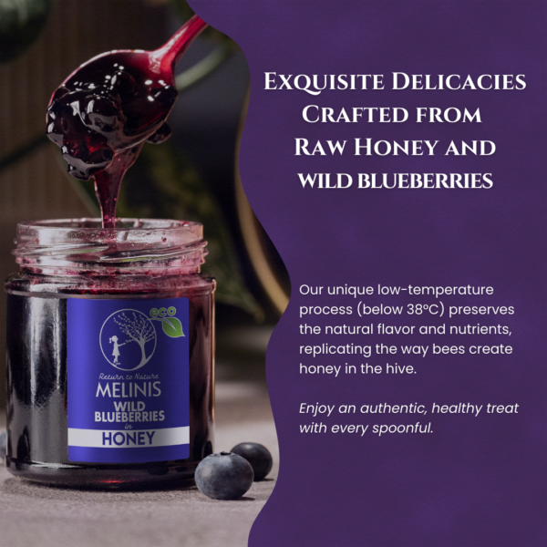 Organic Acacia Honey with Organic Wild Blueberries Whole Fruit