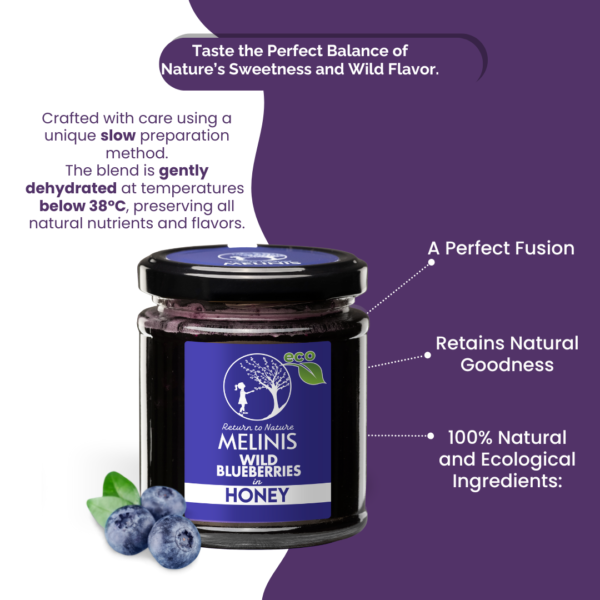 Organic Acacia Honey with Organic Wild Blueberries Whole Fruit