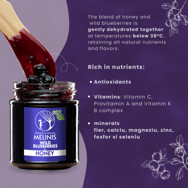 Organic Acacia Honey with Organic Wild Blueberries Whole Fruit