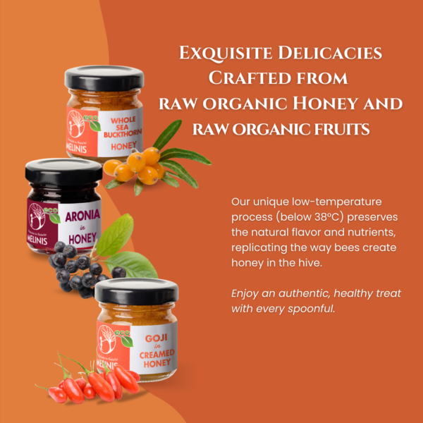 Vitamin Explosion - Set 3 x 40 g - Organic Honey  With Sea Buckthorn, Aronia and Goji Berry