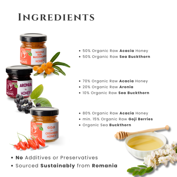 Vitamin Explosion - Set 3 x 40 g - Organic Honey  With Sea Buckthorn, Aronia and Goji Berry