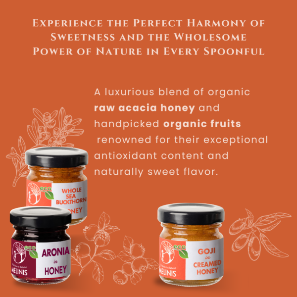Vitamin Explosion - Set 3 x 40 g - Organic Honey  With Sea Buckthorn, Aronia and Goji Berry