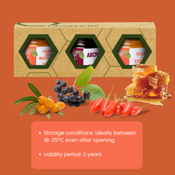 Vitamin Explosion - Set 3 x 40 g - Organic Honey  With Sea Buckthorn, Aronia and Goji Berry