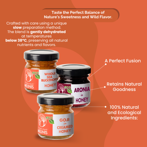 Vitamin Explosion - Set 3 x 40 g - Organic Honey  With Sea Buckthorn, Aronia and Goji Berry